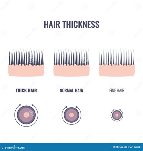 thin to thick hair measurment|hair thickness chart.